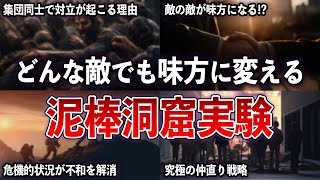 戦争もこれで解決！？ 集団の対立を解決するたった一つの方法  泥棒洞窟実験【ゆっくり解説 with ずんだもん】