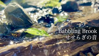 Gentle Sounds of Water, Babbling Sounds for Relaxation, Meditation, Study / 1 hour Nature Sound ASMR