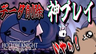 配信１００点【ホロウナイト】