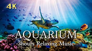 4Kアクアリウム【リラックス音楽】サンゴ礁に住む熱帯魚とウミガメ 🐠|3時間リモート水族館|Relaxing Music & UHD Aquarium Video