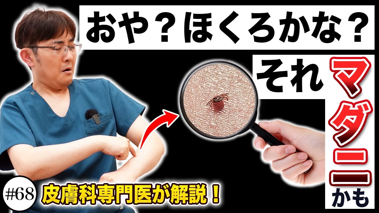 サムネ