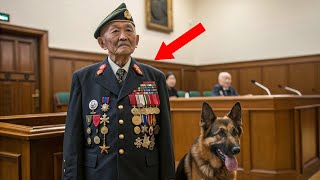 弁護士が警官を裁判で冤罪に！？しかし…愛犬が衝撃の証拠を突きつけた！