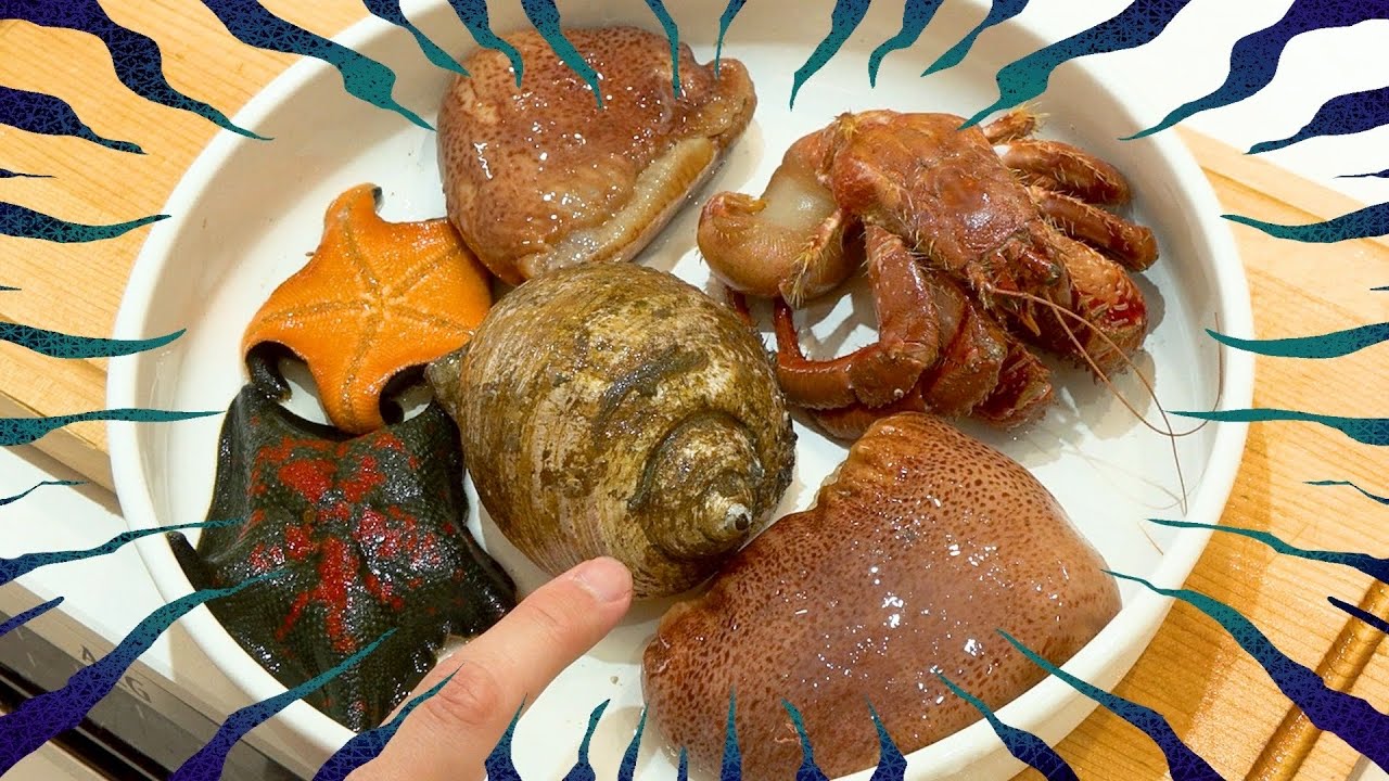 サムネ