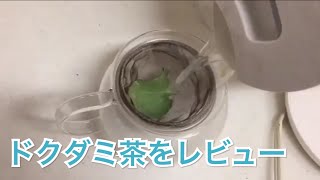 ドクダミ茶を飲んでレビュー