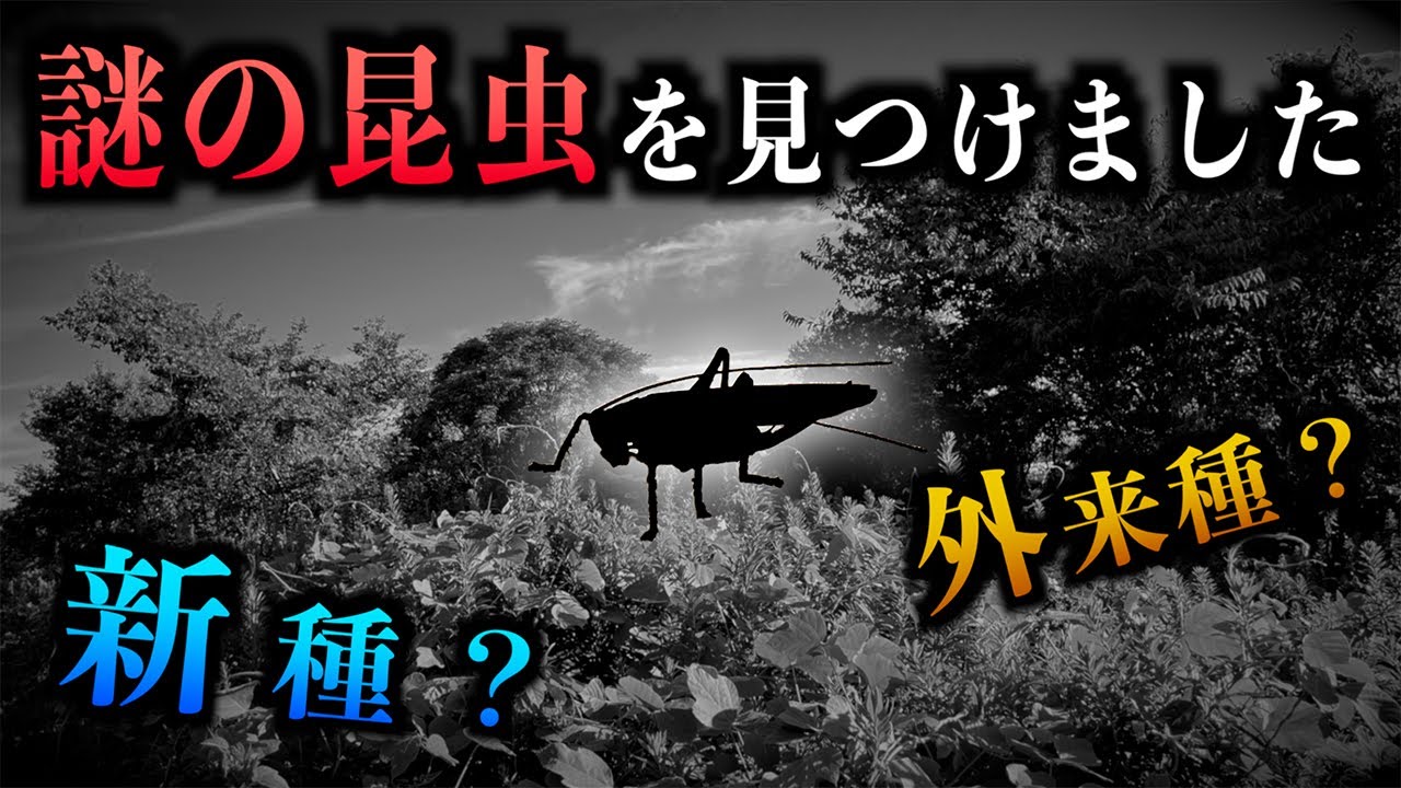 サムネ
