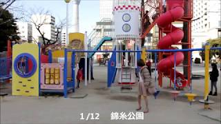 幸重のお出かけムービー日誌 2018年１月