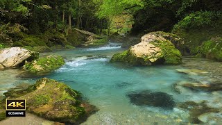 4K 映像 + 自然の音  / ASMR  美しい風景と渓流の音  3時間