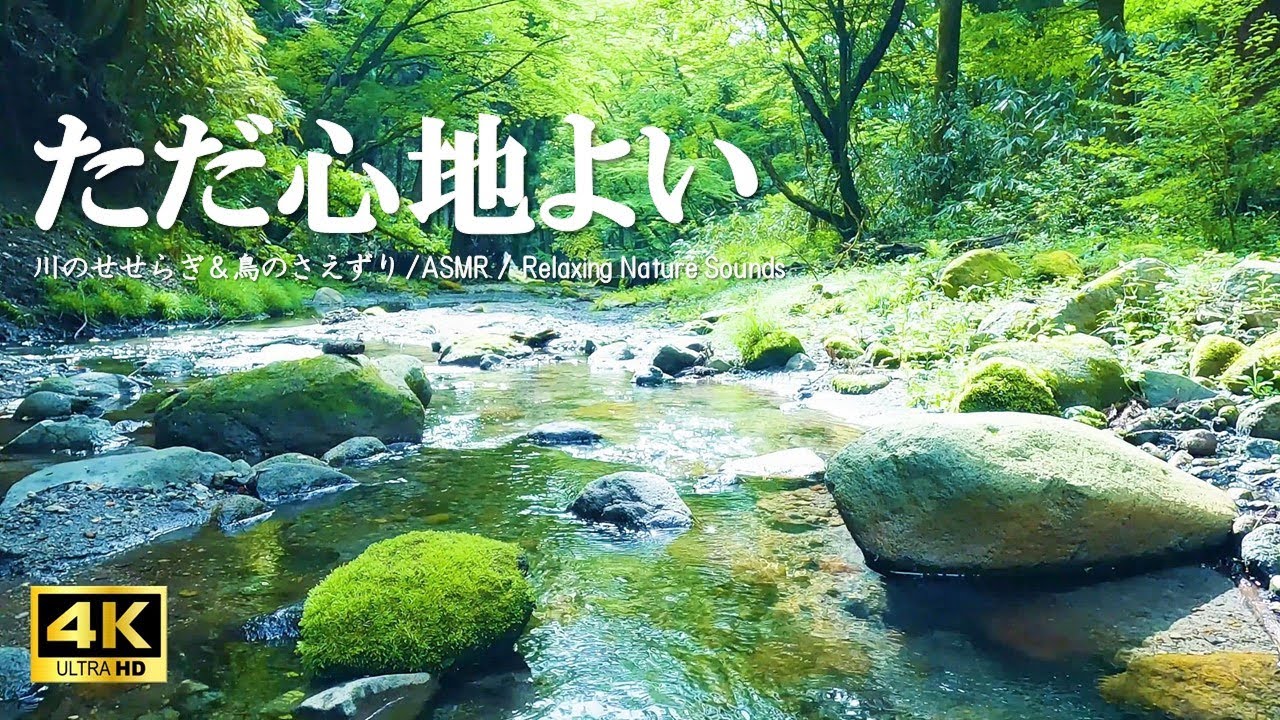 サムネ