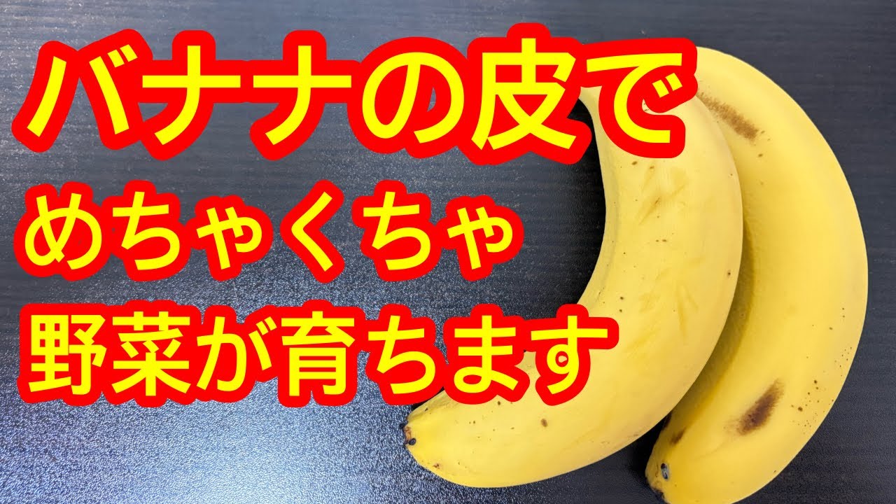 サムネ
