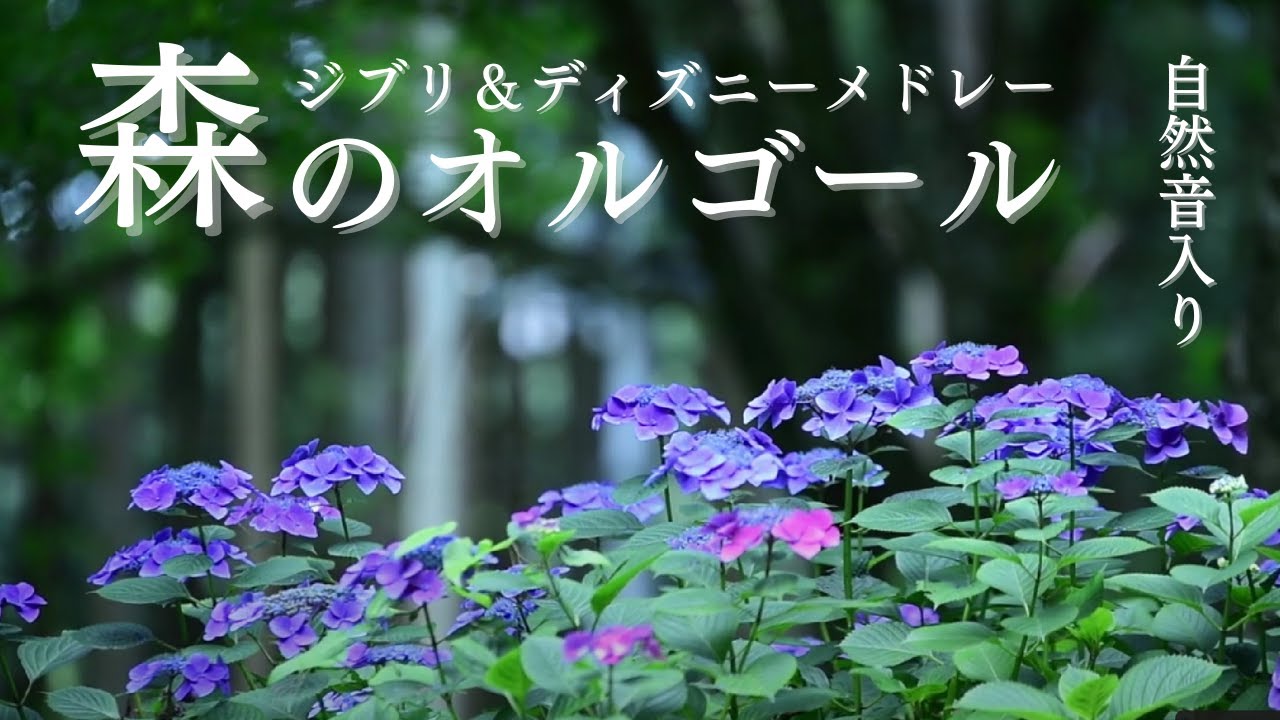 サムネ