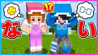 大事なものがなくなったマインクラフト😱😨【 マイクラ / Minecraft  】