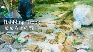 Soft and Pleasant Babbling Sounds of the Forest Stream for Relaxation / 1 hour Nature Sound / ASMR