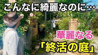 【植物を無くしたい】終活に向けて今この庭がとんでもない事になってます　　　　　　　　【カーメン君】【井上さん】【ガーデニング】【初心者】