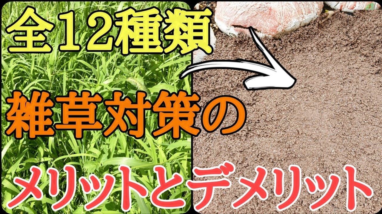 サムネ