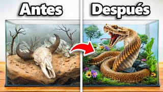I Transformed a Snake's Abandoned Home