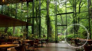 【環境音🐦 × jazz】鳥の声、カフェジャズミュージック、リラックス、読書、作業用BGM、chill out【Forest Jazz Ambience☕】
