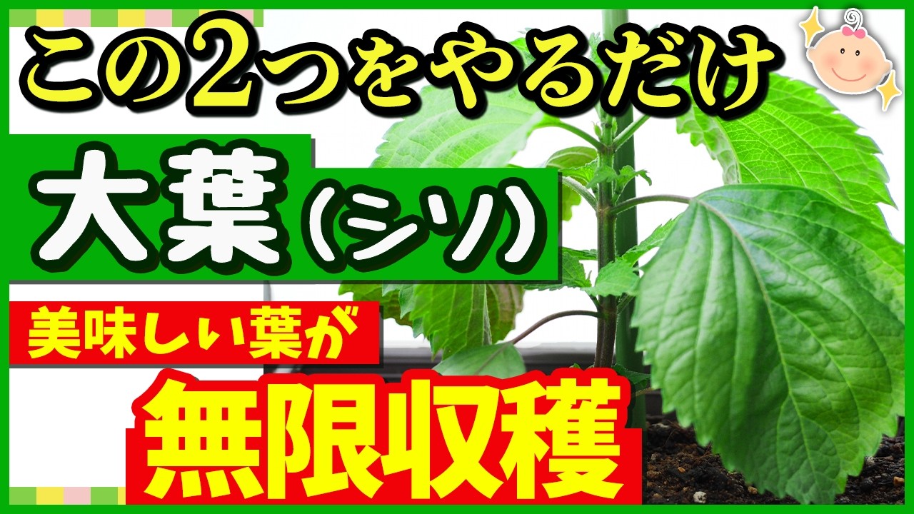 サムネ