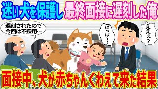 【2ch馴れ初め】　迷い犬を保護し最終面接に遅刻した俺→面接中犬が赤ちゃんくわえて突入してきた結果   　【ゆっくり】