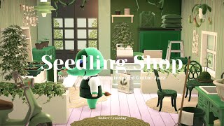 Seedling Shop 🌱｜Relaxing Bossa Nova-inspired Guitar Jazz｜Study & Work Music｜Animal Crossing Ambience