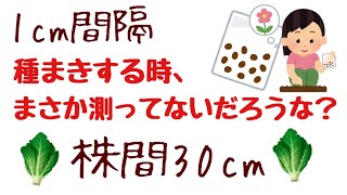 【ペットボトルは立派な道具です】
これを知っていれば、いろんな事に活用できる👍＃50しばみゆアットランダム #種まき間隔 #測る #種を買う時期