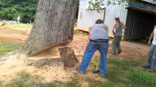 The dropping of the tree