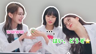 【LE SSERAFIM】癖強トリオのエゴマの葉論争が話にならなかった件