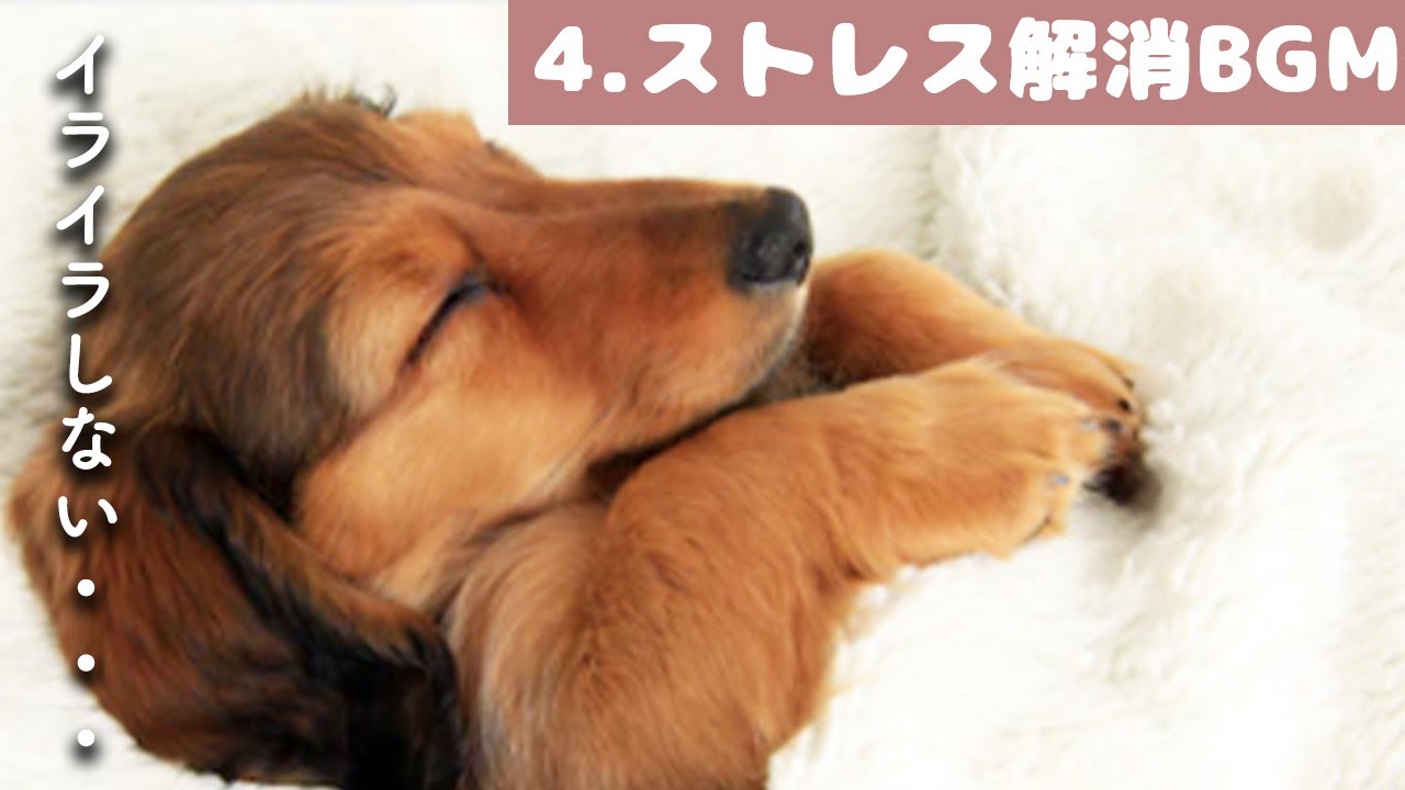 サムネ