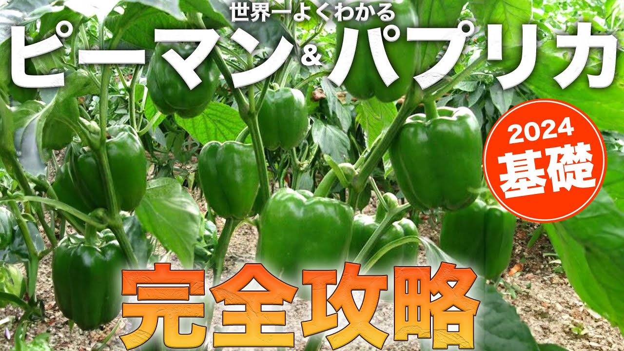 サムネ