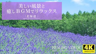 【癒し】広大な大地と大自然！北海道の絶景で心身の疲れを癒してください。／リラックス効果・上映用、目覚めの朝や眠れない夜にもどうぞ。