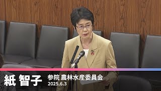 米価下落で赤字不安　生産者支援の対策　農家への支援要求　2025.6.3