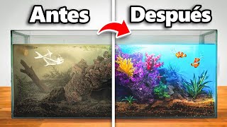 Transformé un Acuario Abandonado (con peces vivos)