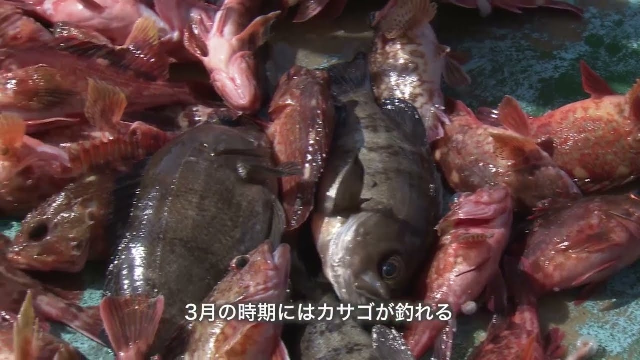 サムネ