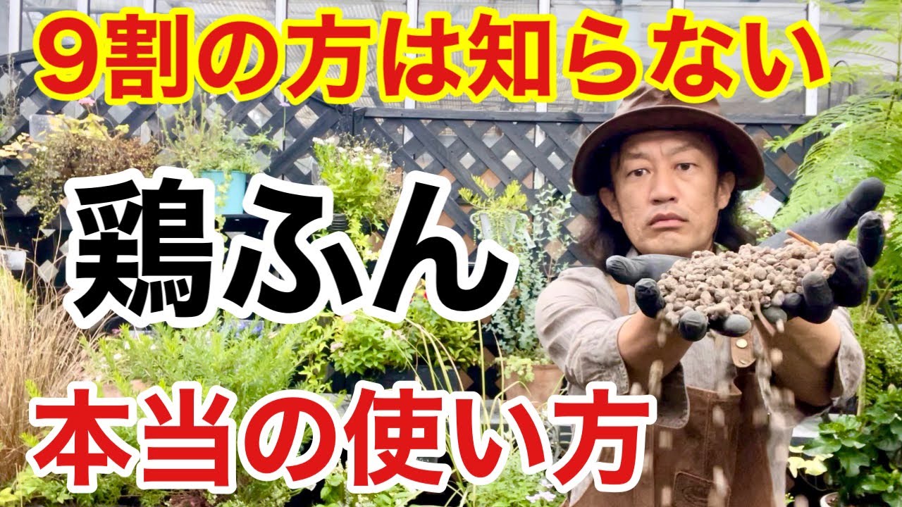 サムネ