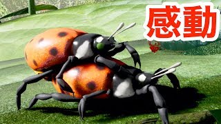 ゲームで学ぶ『 テントウムシの生きる力！ 』