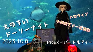 【えのすいドーリーナイト】HYDEスーパードルフィー2023.10.8