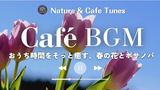 Gentle music of spring flowers and bossa nova🏠🌷(relax/work/study/reading)