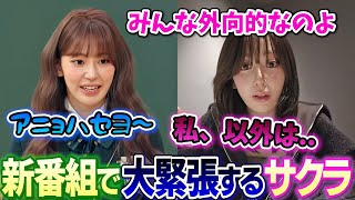 新バラエティ番組で周りが外向的すぎて一人緊張してたと語るサクラが面白い