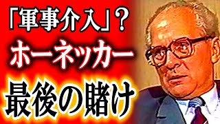 独裁者たちの賭け　ﾎｰﾈｯｶｰとﾁｬｳｼｪｽｸの「軍事介入」計画　#ゆっくりで語る東欧革命　33　本編　⑳　『 不正選挙 』　【ゆっくり解説】　ハンガリーvs東ﾄﾞｲﾂ・ﾙｰﾏﾆｱ 1989前半戦
