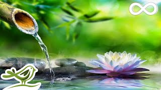 Soothing Relaxation: 睡眠、瞑想、スパ、ヨガのためのリラックス・ピアノ音楽と水の音