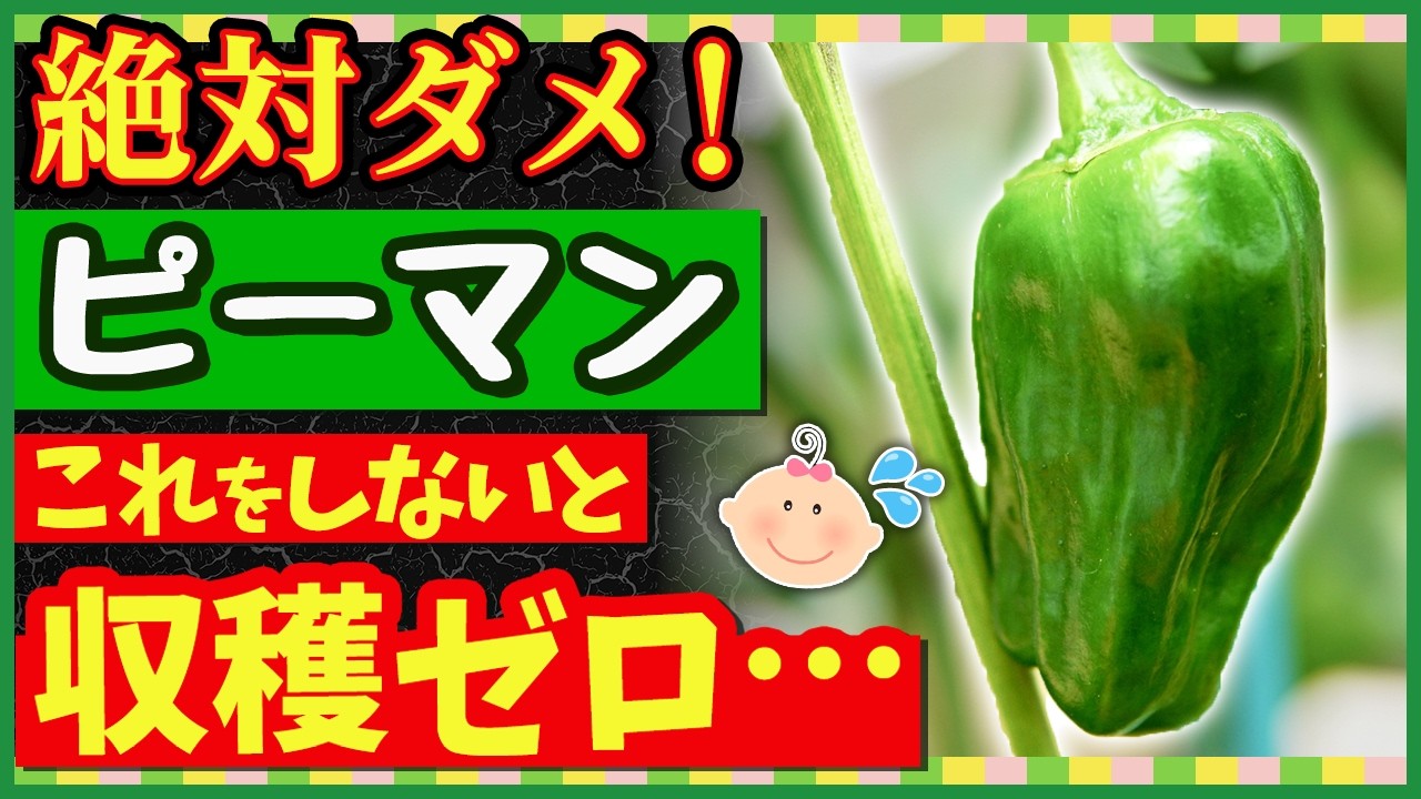 サムネ