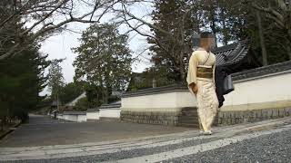 【女装】訪問着を着用して、京都南禅寺付近を散歩してきました【はんなりver】