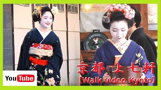 【速報版/上七軒/梅花祭】舞妓さんのお茶🍵と美しい梅花🌸に外国人観光客も超満足😲❗上七軒🍁北野天満宮梅花祭🎌😺舞妓さん大茶湯＆黒紋付1月始業式も🎍🎵😊 at 11 am 2024 KYOTO No74