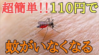 【庭から蚊がいなくなる】100均グッズ1つで出来る蚊を増やさない対策を紹介します