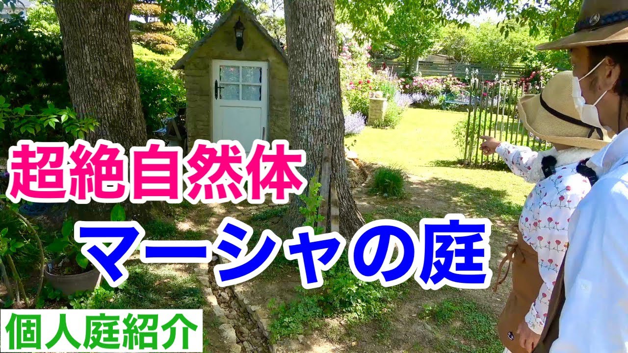 サムネ