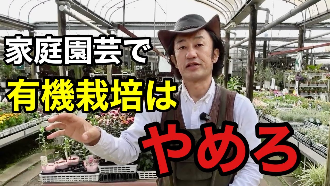 サムネ