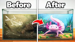 I Transformed an Abandoned Axolotl’s Home
