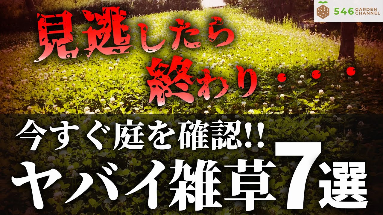 サムネ