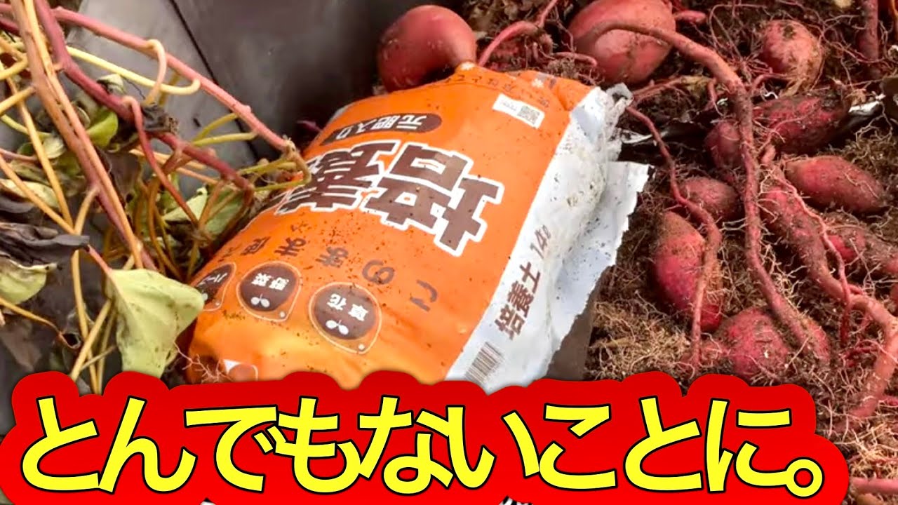 サムネ