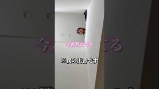 妻2人（？）の機嫌取りも慣れてきましたwwww#夫婦 #shorts