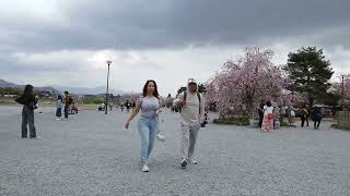 全国花のある風景　嵐山公園　京都市右京区